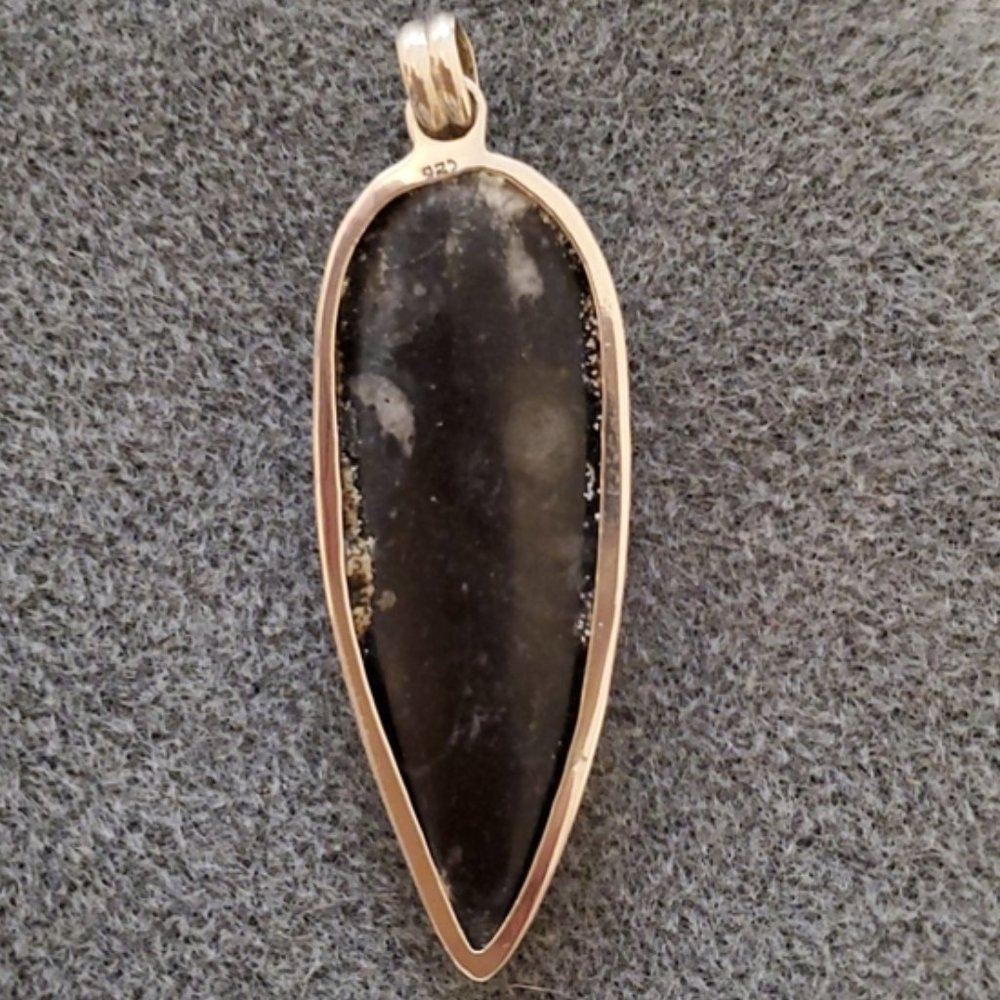 Unique Orthoceros Fossil & Sterling Silver Pendant - Picture 2 of 6